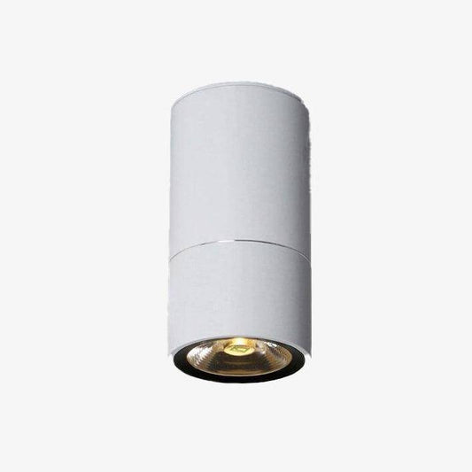 Modern rund LED-spotlight med fin silverlinje Loft