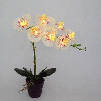 Konstgjorda LED-bordslampor för orkidé
